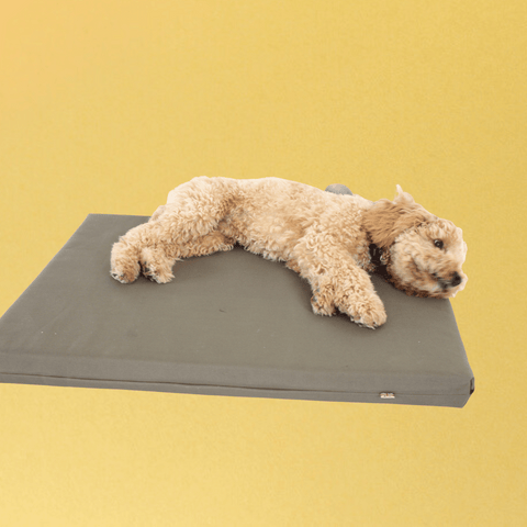 Memory Foam Dog Bed With Cover olive green country khaki dark green