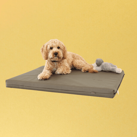 Memory Foam Dog Bed With Cover olive green country khaki dark green