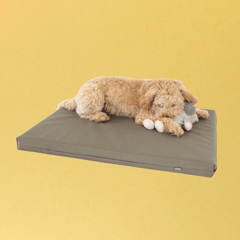 Memory Foam Dog Bed With Cover olive green country khaki dark green